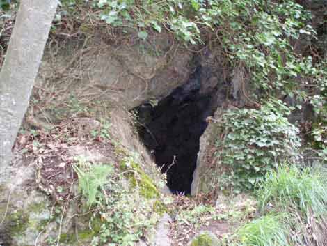 Embocadura de la cueva Fresca de Cástaras.